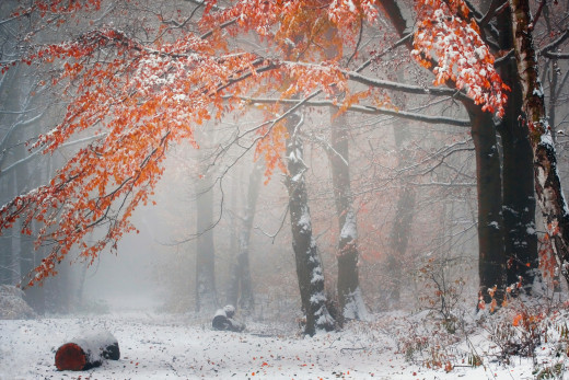 �1756353 �������(a): ����������:2048x1365